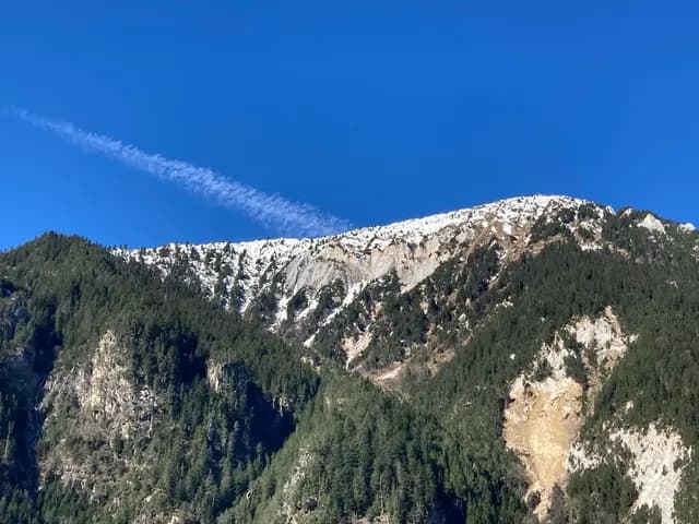 Sommet saupoudré de neige et forêts de sapins sous un ciel bleu