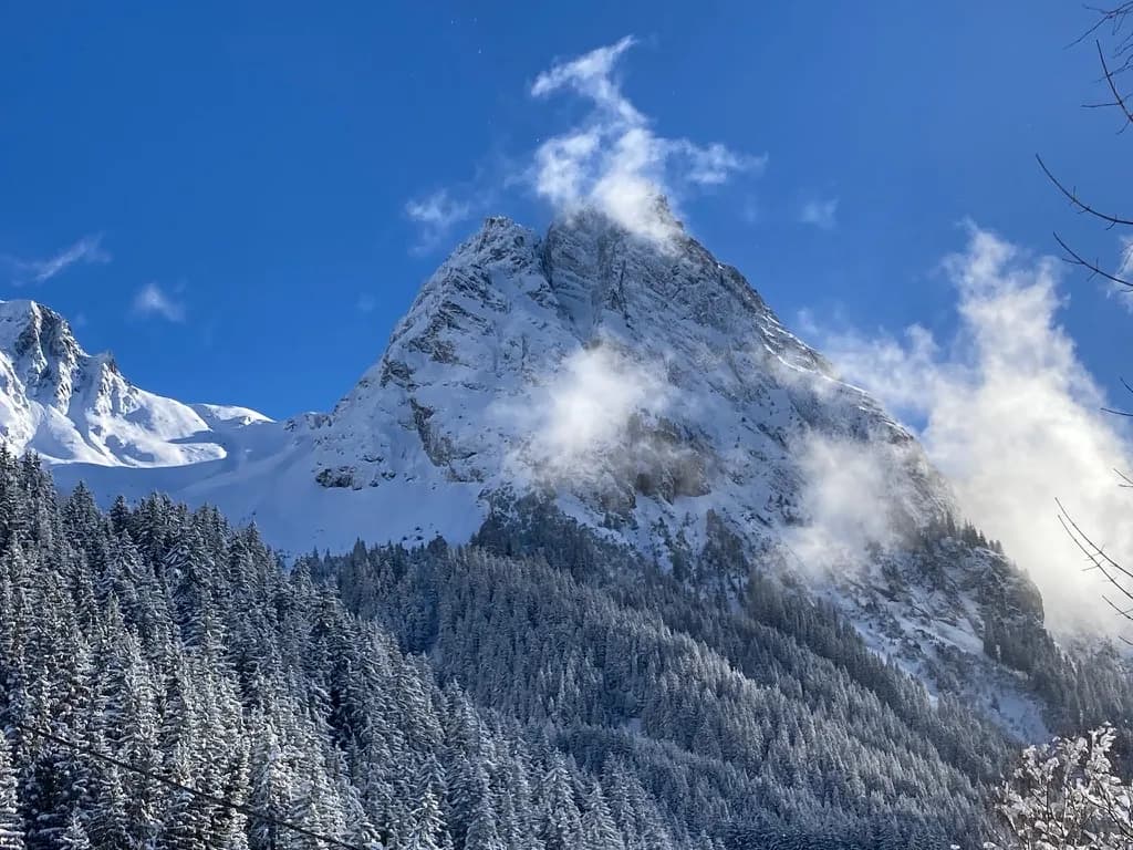 Sommet rocheux enneigé émergeant des nuages au-dessus des forêts de sapins